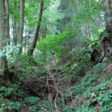 1208F 097 Neckar-Radweg